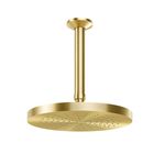 986855_00909372-chuveiro-docoleden-teto-200-ouro-escovado_z1_637299295960803244